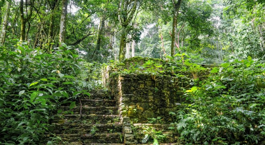 Descubren una ciudad perdida en el Amazonas
