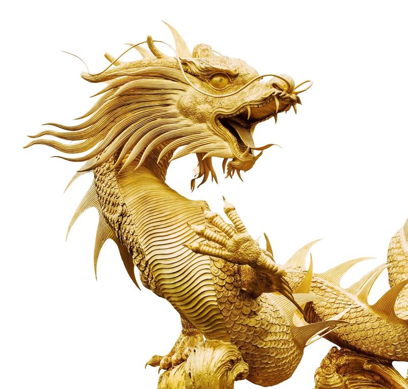 ¿Mito o realidad? Descubren al 'dinosaurio-dragón' de las leyendas chinas-0